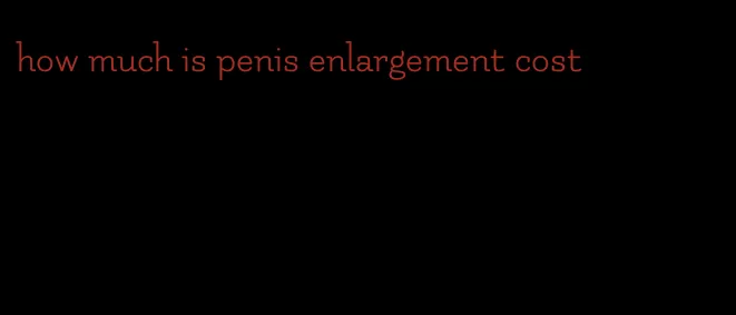 how much is penis enlargement cost