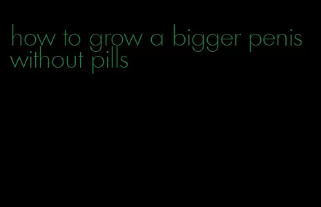 how to grow a bigger penis without pills