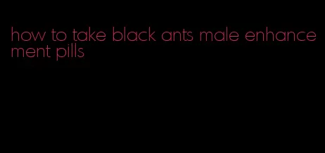 how to take black ants male enhancement pills