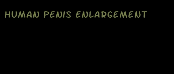 human penis enlargement