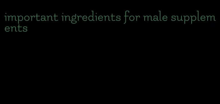 important ingredients for male supplements