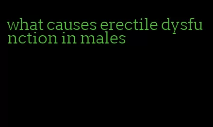 what causes erectile dysfunction in males