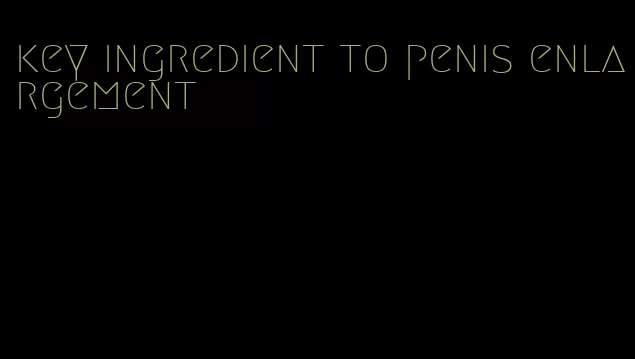 key ingredient to penis enlargement