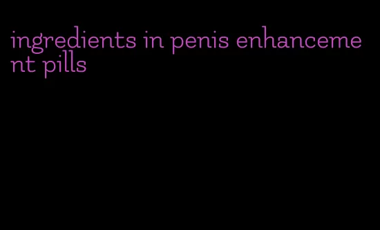 ingredients in penis enhancement pills