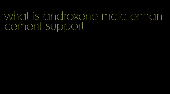 what is androxene male enhancement support