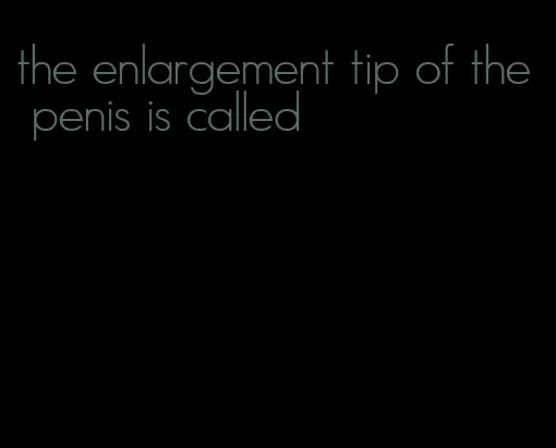 the enlargement tip of the penis is called