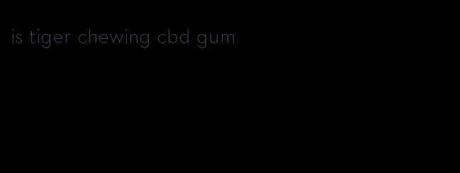 is tiger chewing cbd gum