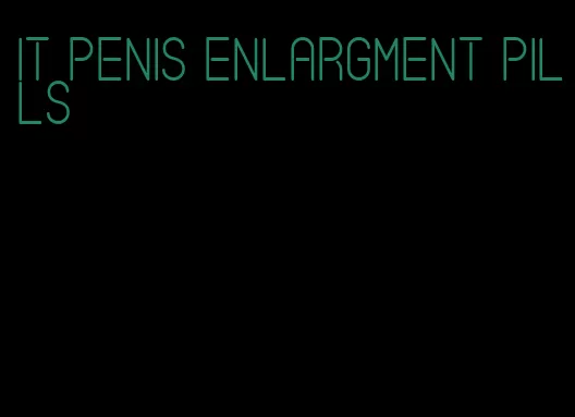 it penis enlargment pills