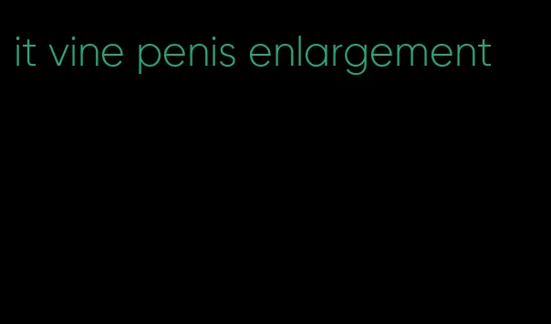 it vine penis enlargement