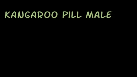 kangaroo pill male