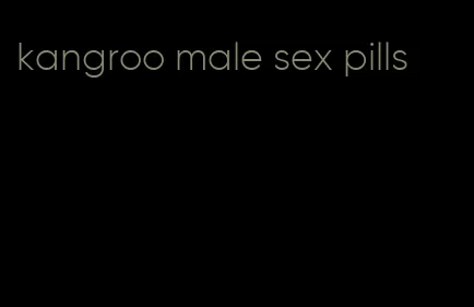 kangroo male sex pills