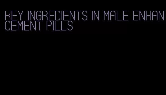 key ingredients in male enhancement pills