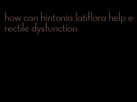 how can hintonia latiflora help erectile dysfunction