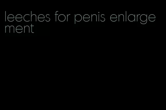 leeches for penis enlargement