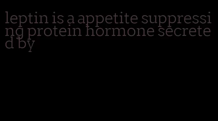 leptin is a appetite suppressing protein hormone secreted by