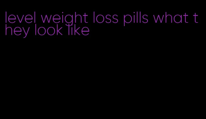 level weight loss pills what they look like