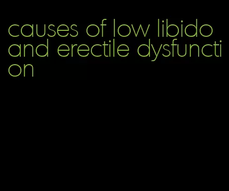 causes of low libido and erectile dysfunction