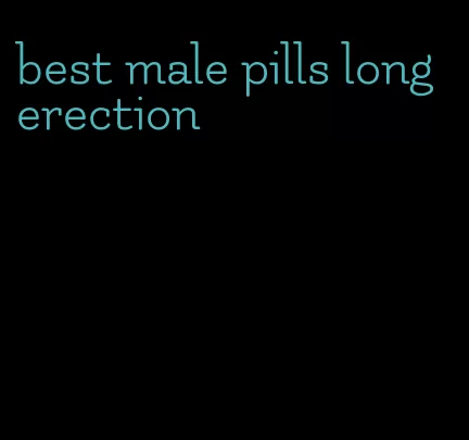 best male pills long erection