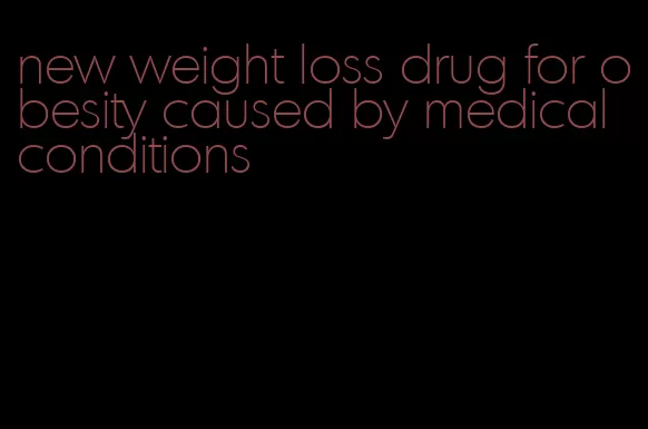 new weight loss drug for obesity caused by medical conditions