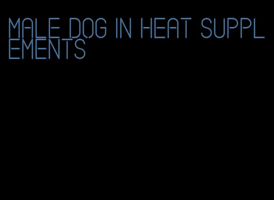 male dog in heat supplements