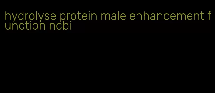 hydrolyse protein male enhancement function ncbi