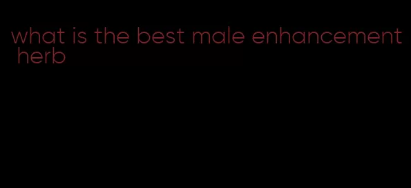 what is the best male enhancement herb