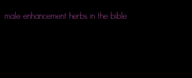 male enhancement herbs in the bible