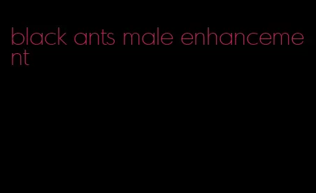 black ants male enhancement