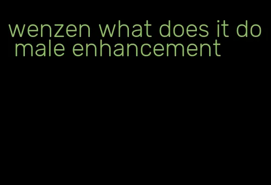 wenzen what does it do male enhancement