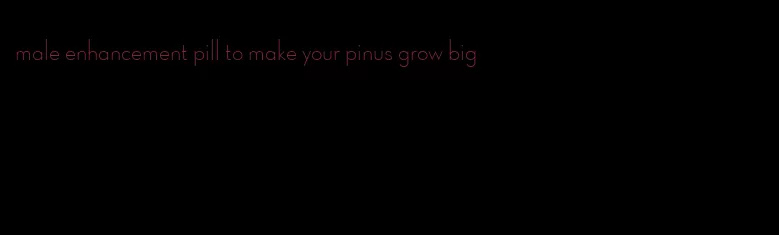 male enhancement pill to make your pinus grow big