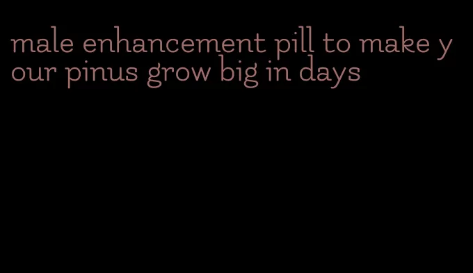 male enhancement pill to make your pinus grow big in days