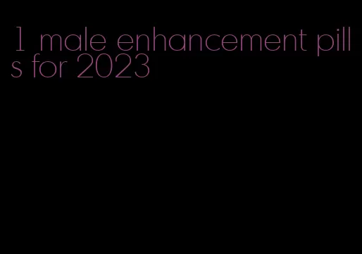 #1 male enhancement pills for 2023