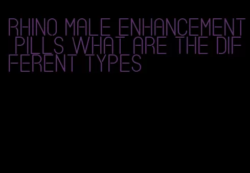 rhino male enhancement pills what are the different types