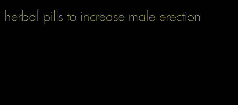 herbal pills to increase male erection