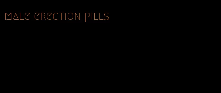 male erection pills