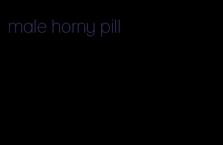 male horny pill