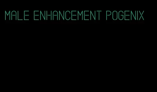 male enhancement pogenix