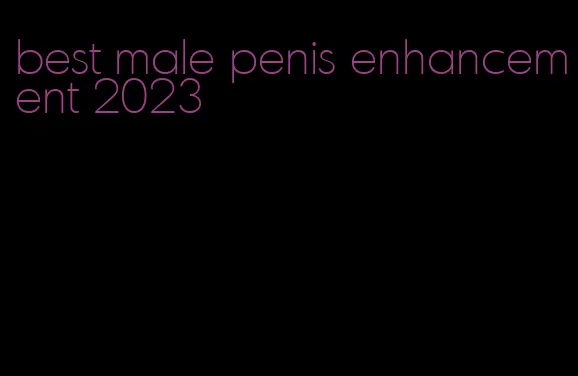 best male penis enhancement 2023