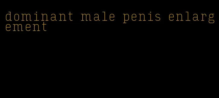 dominant male penis enlargement