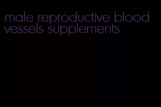 male reproductive blood vessels supplements