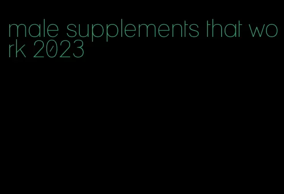 male supplements that work 2023