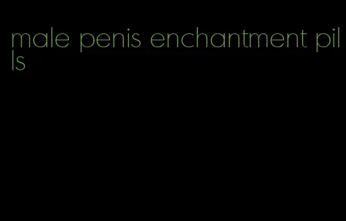 male penis enchantment pills