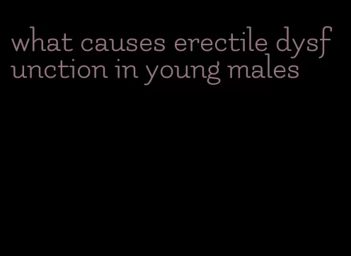 what causes erectile dysfunction in young males