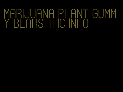 marijuana plant gummy bears thc info