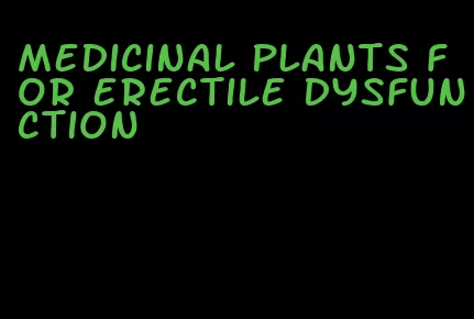 medicinal plants for erectile dysfunction