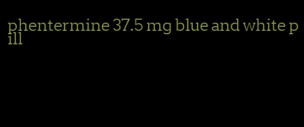 phentermine 37.5 mg blue and white pill