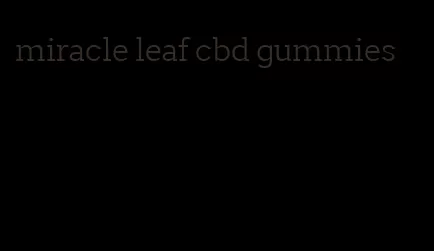 miracle leaf cbd gummies