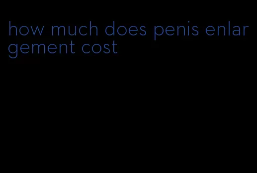 how much does penis enlargement cost