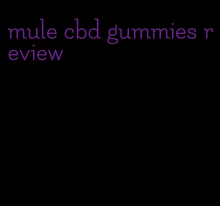 mule cbd gummies review