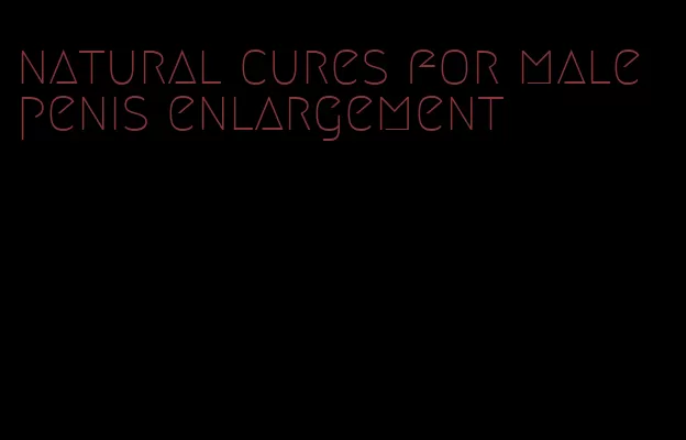 natural cures for male penis enlargement